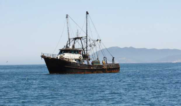 arraial do cabo barco