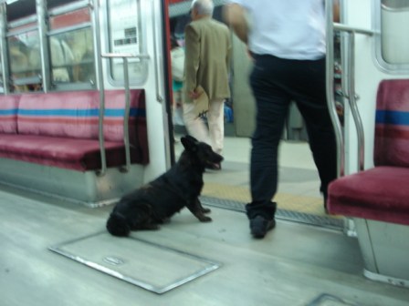 Vagao do metro de buenos aires