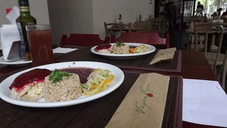 prato principal vegano