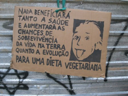 Einstein vegetariano