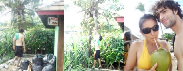 agua de coco Cabrália