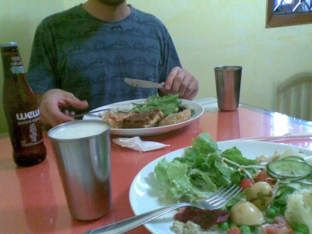 refrigerante organico