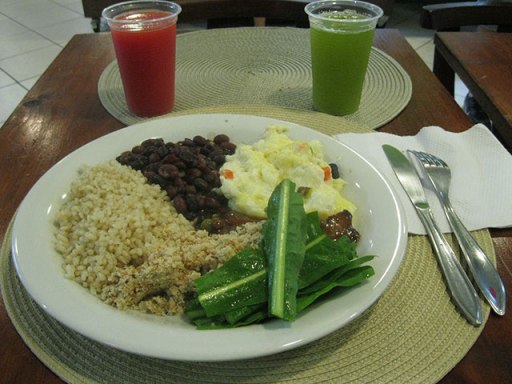 refeicao vegetariana florianopolis