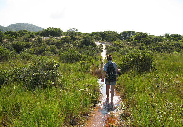 trilhas pela dunas de floripa