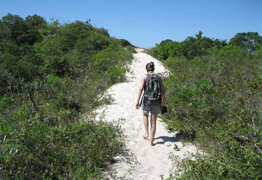 Trilha para a praia da Joaquina