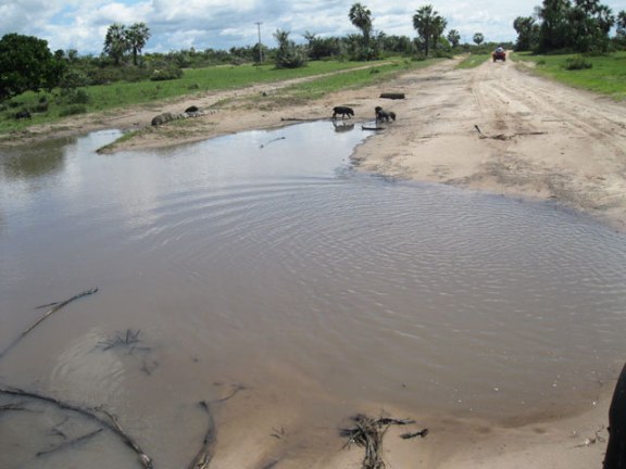 trilha de quadriciclo