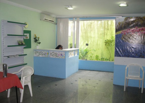 vegetariano sao luis