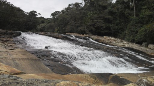 cachoeira com planta carnivora