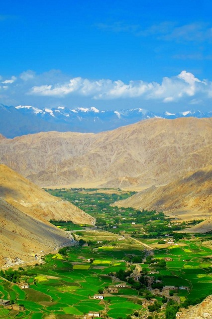 Ladakh Kashmira