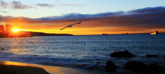 litoral vina del mar