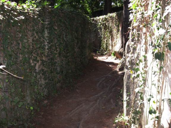 parque com labirinto