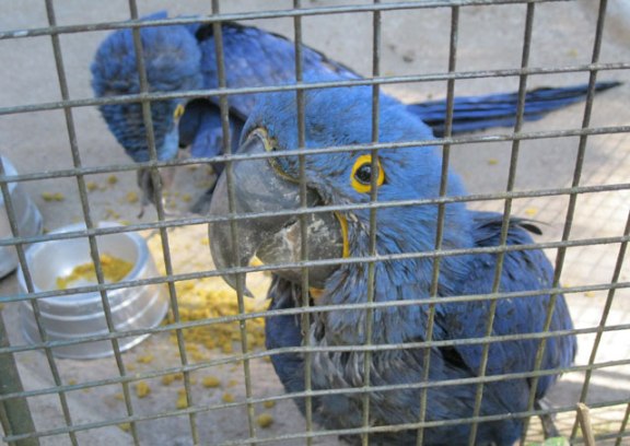 parque ecologico betim