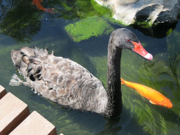 parque ecologico em betim