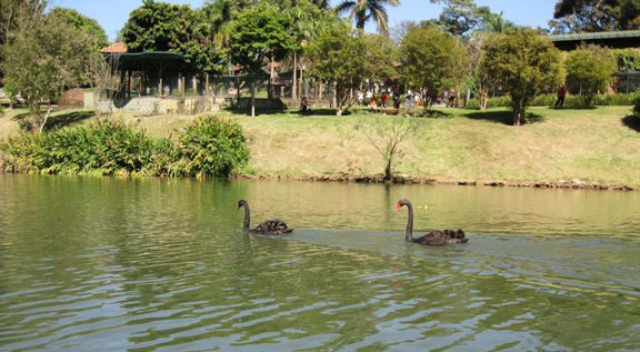 lago do parque
