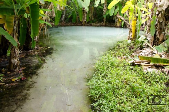 Fervedouro tocantins