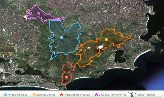 trilhas da floresta da tijuca