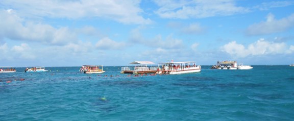 corais mergulho maracajau