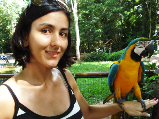 arara parque das aves
