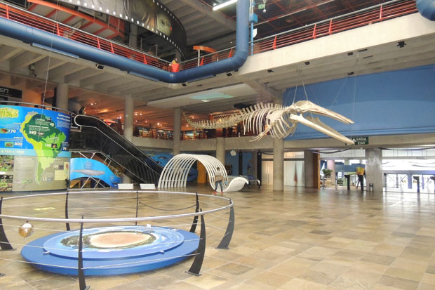 Catavento Cultural e Educacional