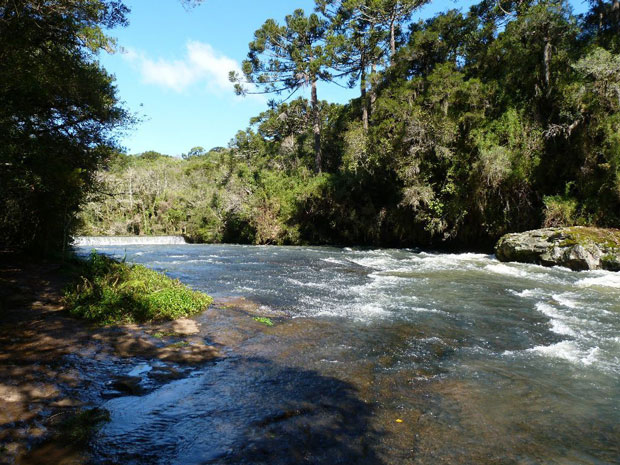 trilha do silencio sp