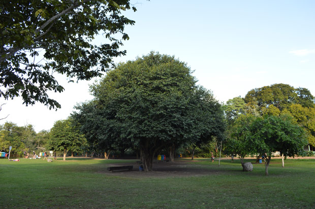 camping balneario municipal