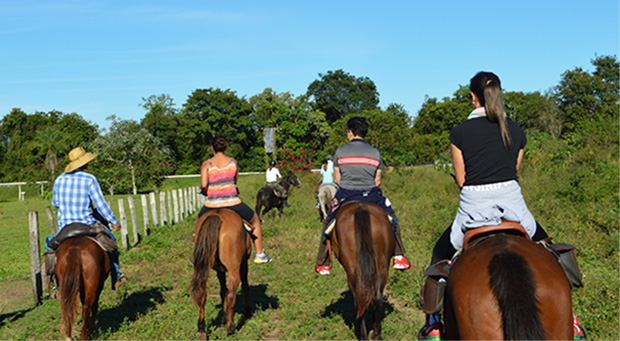 passeio a cavalo em bonito