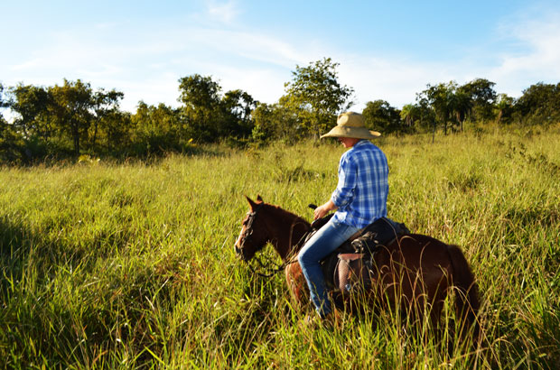 cavalgada de bonito ms