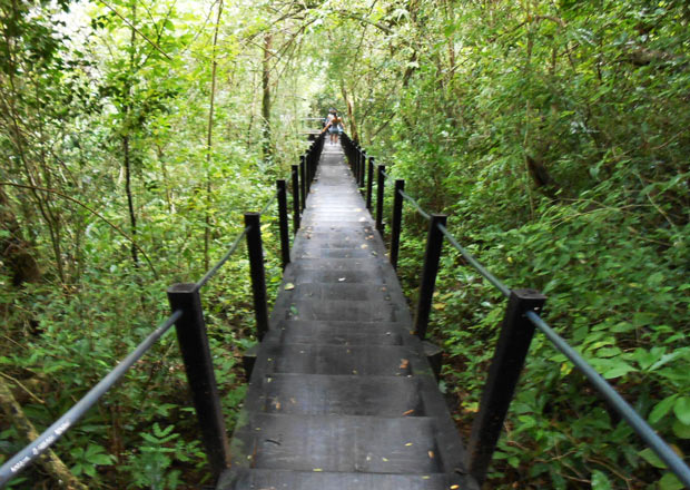 boca da onca escadaria