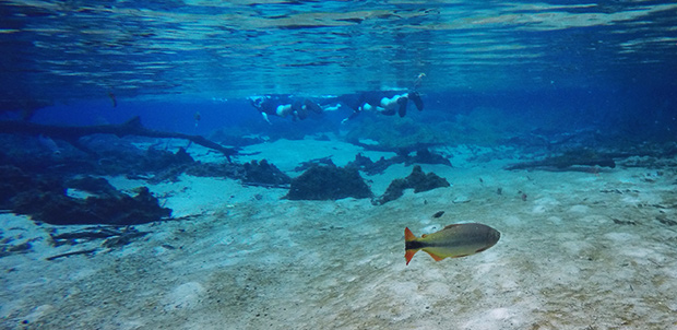 flutuacao rio da prata