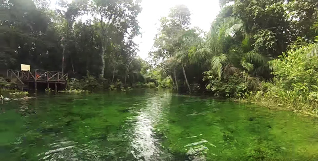 flutuacao mato grosso do sul