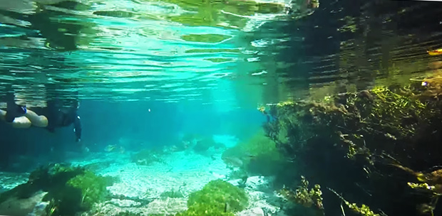 Flutuação | Rio Sucuri