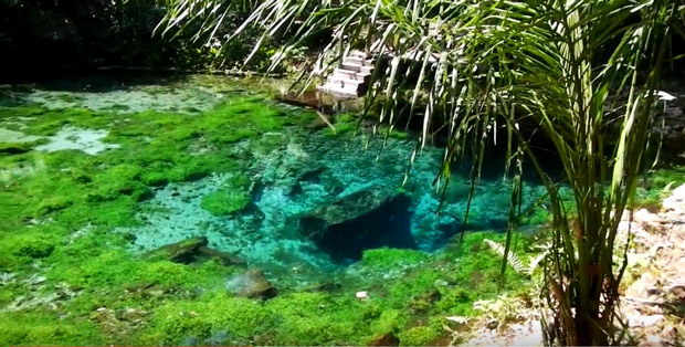 bonito nascente azul