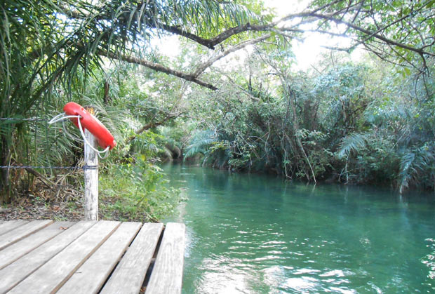 flutuacao rio formoso