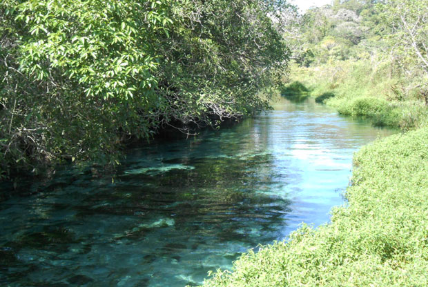 margem do rio sucuri