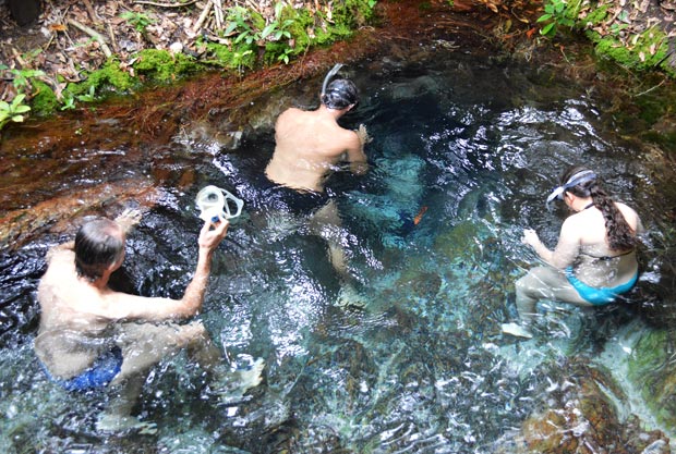 nascente do Rio Chapeninha