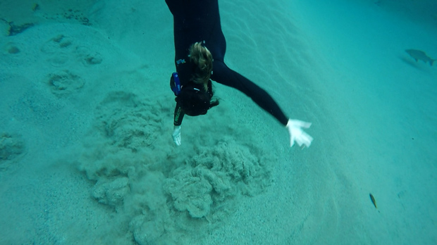 nascente rio da prata