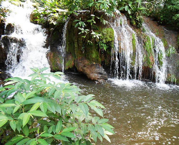 Cachoeira do Sai-andorinha