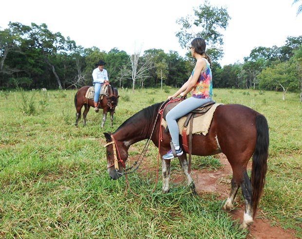 passeio cavalo mimosa