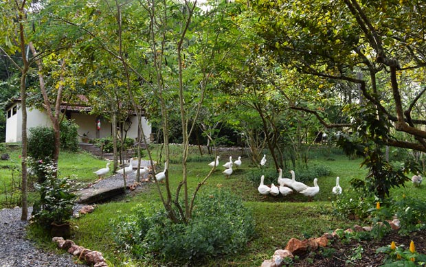 fazenda estancia mimosa