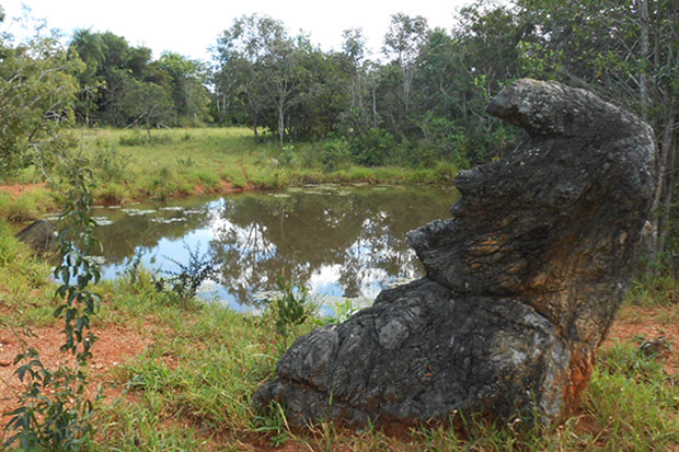 rosto do elvis em pedra