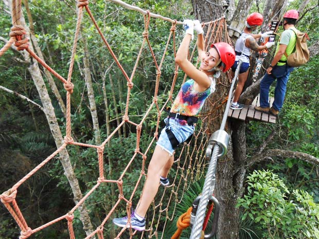 blogueira em arvorismo