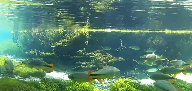 flutuacao em rio do mato grosso do sul