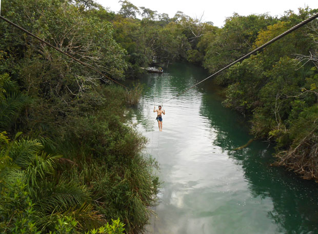 arvorismo com tirolesa