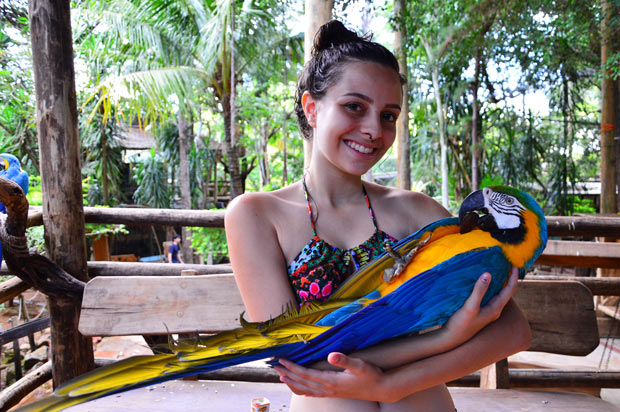 passaros do hot park