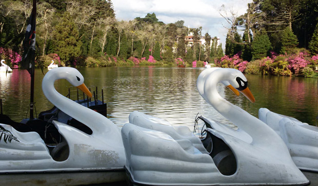 lago negro de gramado
