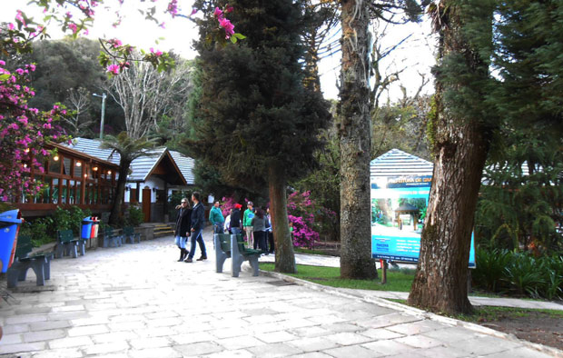 lago negro em gramado