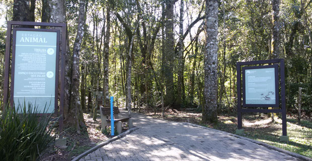 Trilha parque do caracol