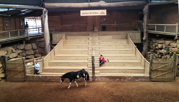 arena de doma do parque gaucho