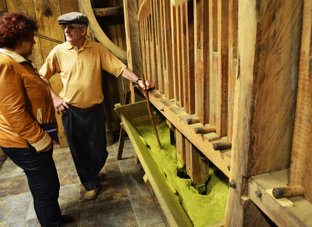 erva mate de gramado