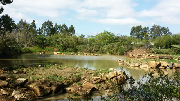 zoologico gramado